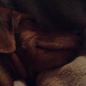 Meet your Posher, Kathy